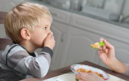 Sense of Taste or the Gustatory System is also known as the Oral Sensory System.