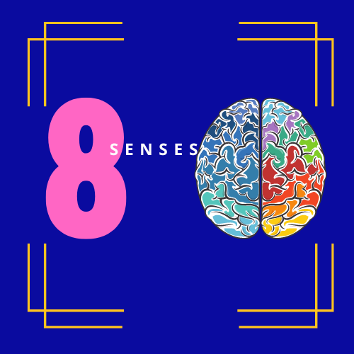 Optimising our 8 Senses - 5 Tips for Suitably matching Sensory Products