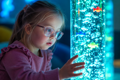 A child wearing glasses peers closely into a bubble tube.