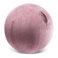 Vestibular Balance & Movement Ball - Ergonomic seating for Teachers and Staff