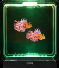 Fish Tank Lamp square with two fake fish inside reversed in green light 