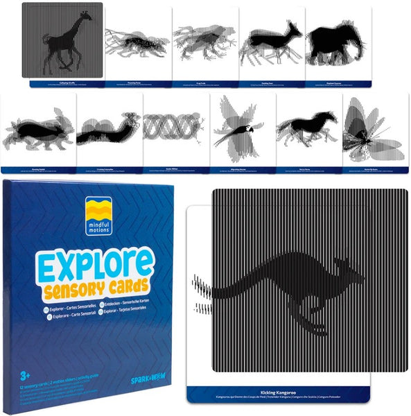 Mindful Motions Sensory Cards Explore set showing multiple visual motion patterns and animal illusions for visual processing, optical illusion exploration, mindfulness and STEM learning