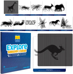 Mindful Motions Sensory Cards Explore set showing multiple visual motion patterns and animal illusions for visual processing, optical illusion exploration, mindfulness and STEM learning