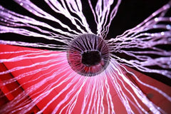 Sensory Fibre Optic Curtain Ring