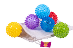 Sensory Support Toolkit for Clinicians - NEW! - Introductory Price