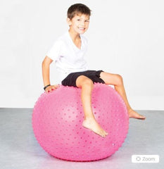 Calming Aids - HART Spike Swiss Ball Pink