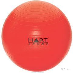 Calming Aids - HART Swiss Balls